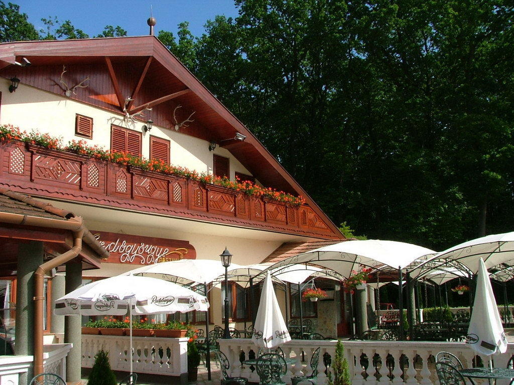 Hotel Erdogyongye Etterem Es Panzio Zalaegerszeg Exterior foto