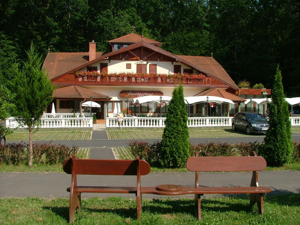 Hotel Erdogyongye Etterem Es Panzio Zalaegerszeg Exterior foto